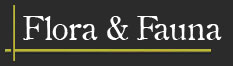 Flora & Fauna