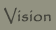 vision