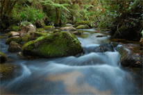 scenic photo gallery