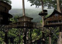 treehouse photo gallery